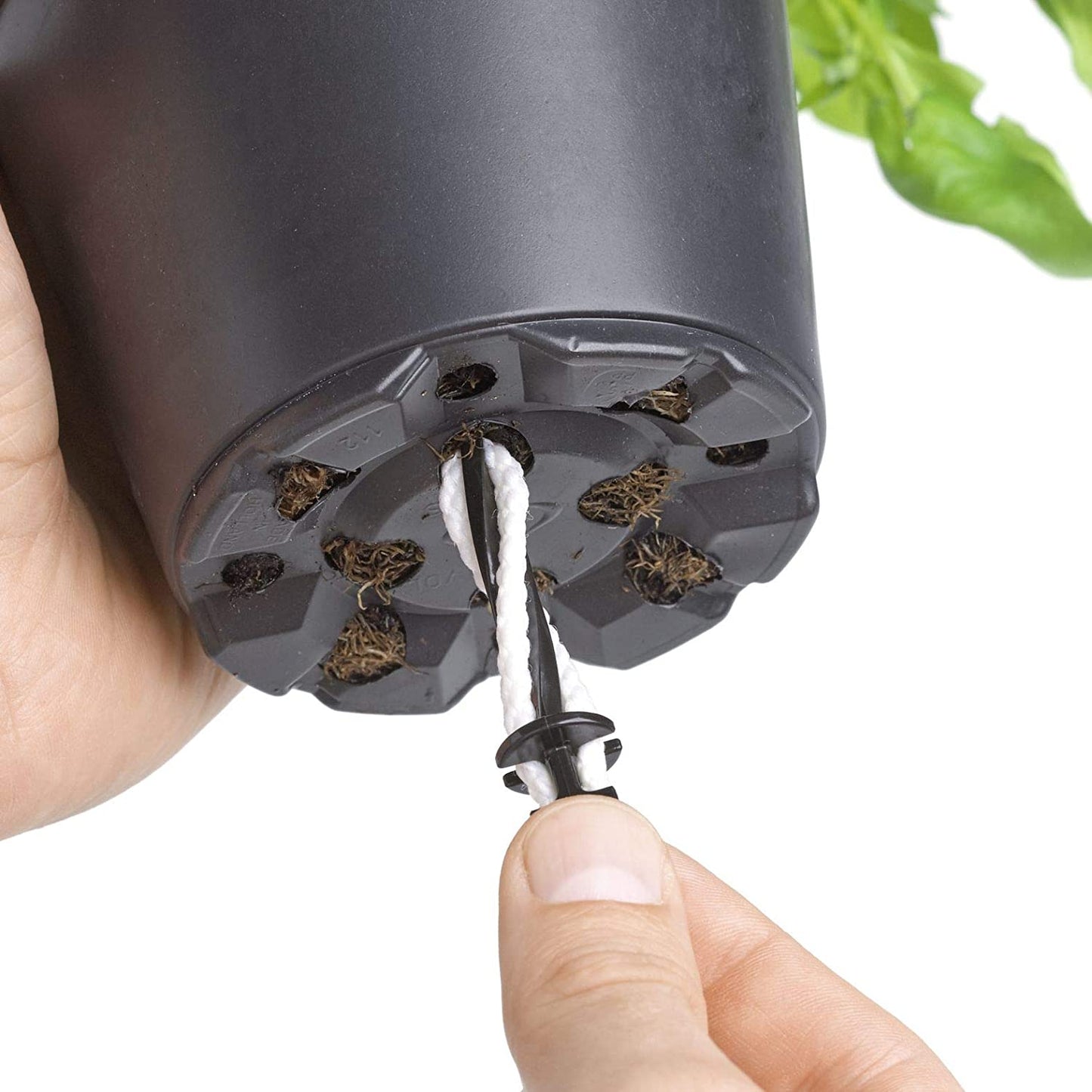 Self-watering pot