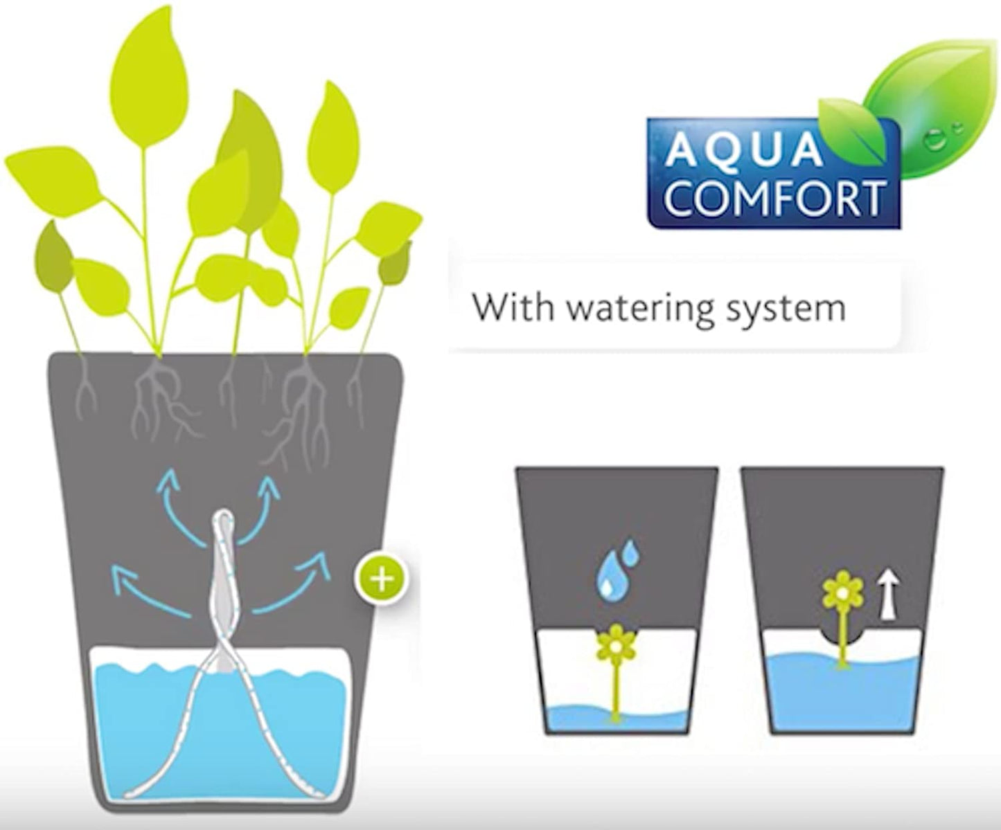 Self-watering pot