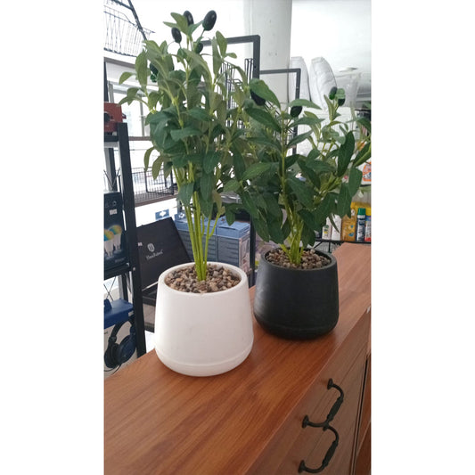 Decorative Artificial Olive Plant in Modern Pot