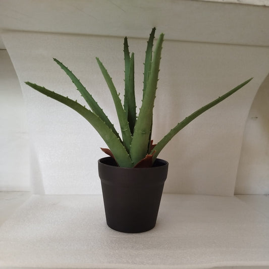 Artificial Aloe Vera Plant in Black Pot