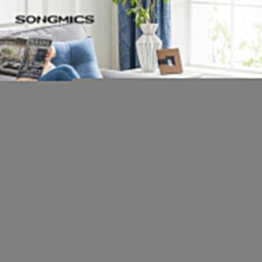 SONGMICS Foldable Storage Chest LSF14IN