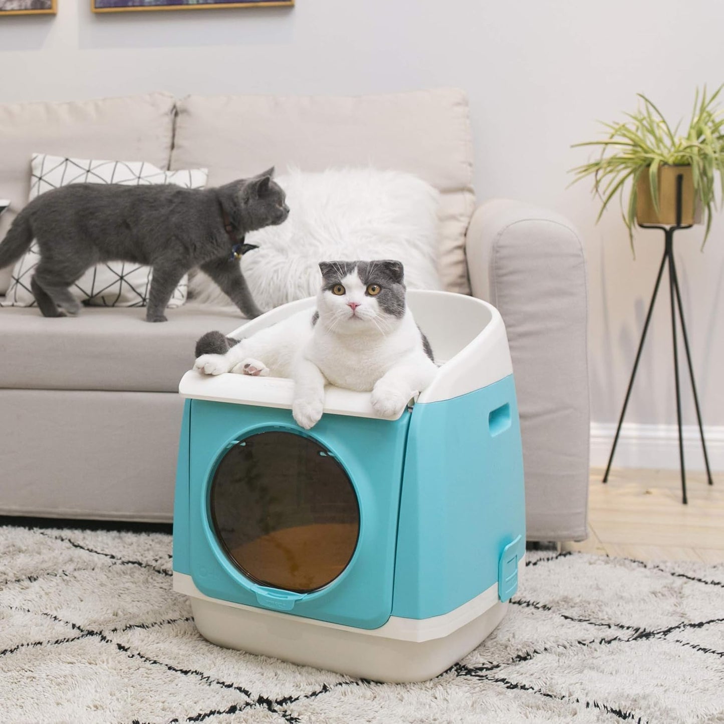 Cat Litter Box