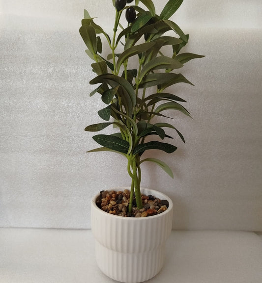 Artificial Olive Plant in Ribbed Ceramic Pot