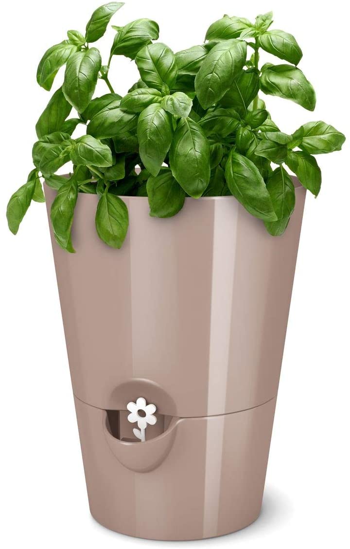 Self-watering pot