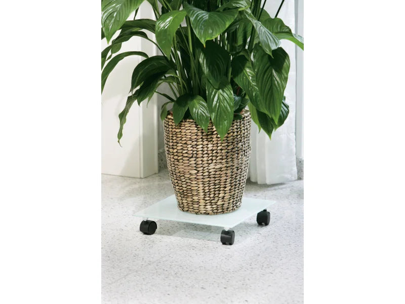 plant mover