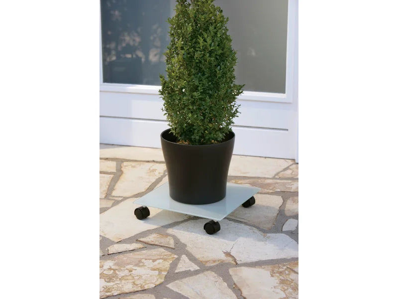 plant mover