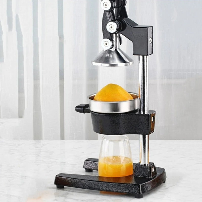 GeBe Manual Citrus Juicer Press Machine