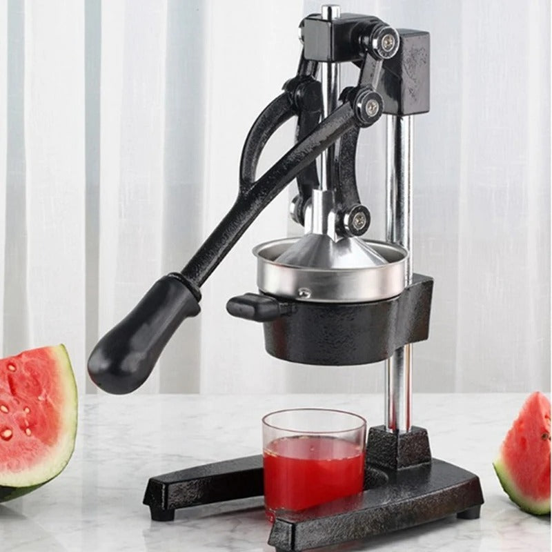 GeBe Manual Citrus Juicer Press Machine