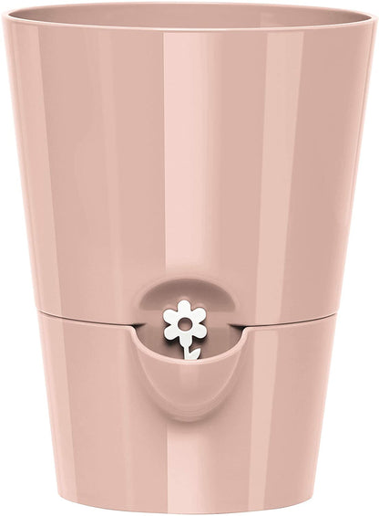 Self-watering pot
