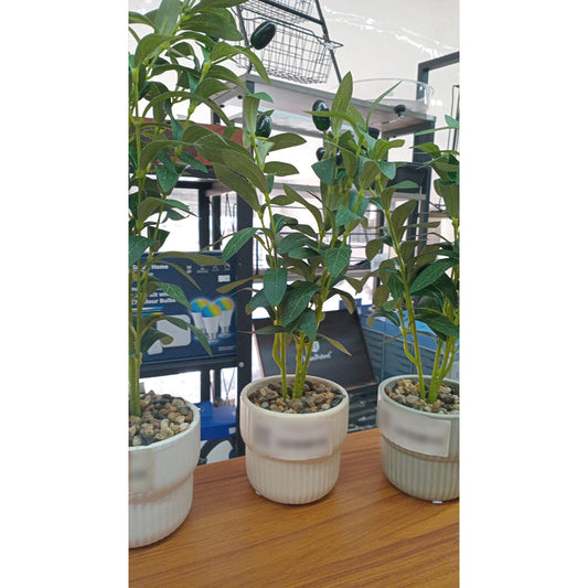Artificial Olive Plant in Ribbed Ceramic Pot