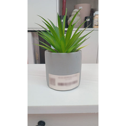 Faux Spiky Succulent in Gray Cement Planter