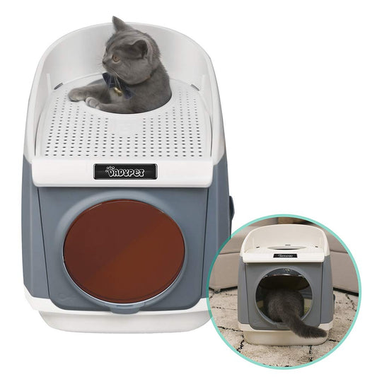 Cat Litter Box