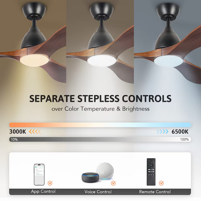 Smart LED Ceiling Fan