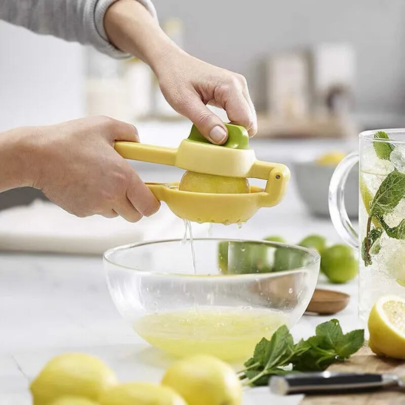 Dual Action Citrus Press Manual Juicer