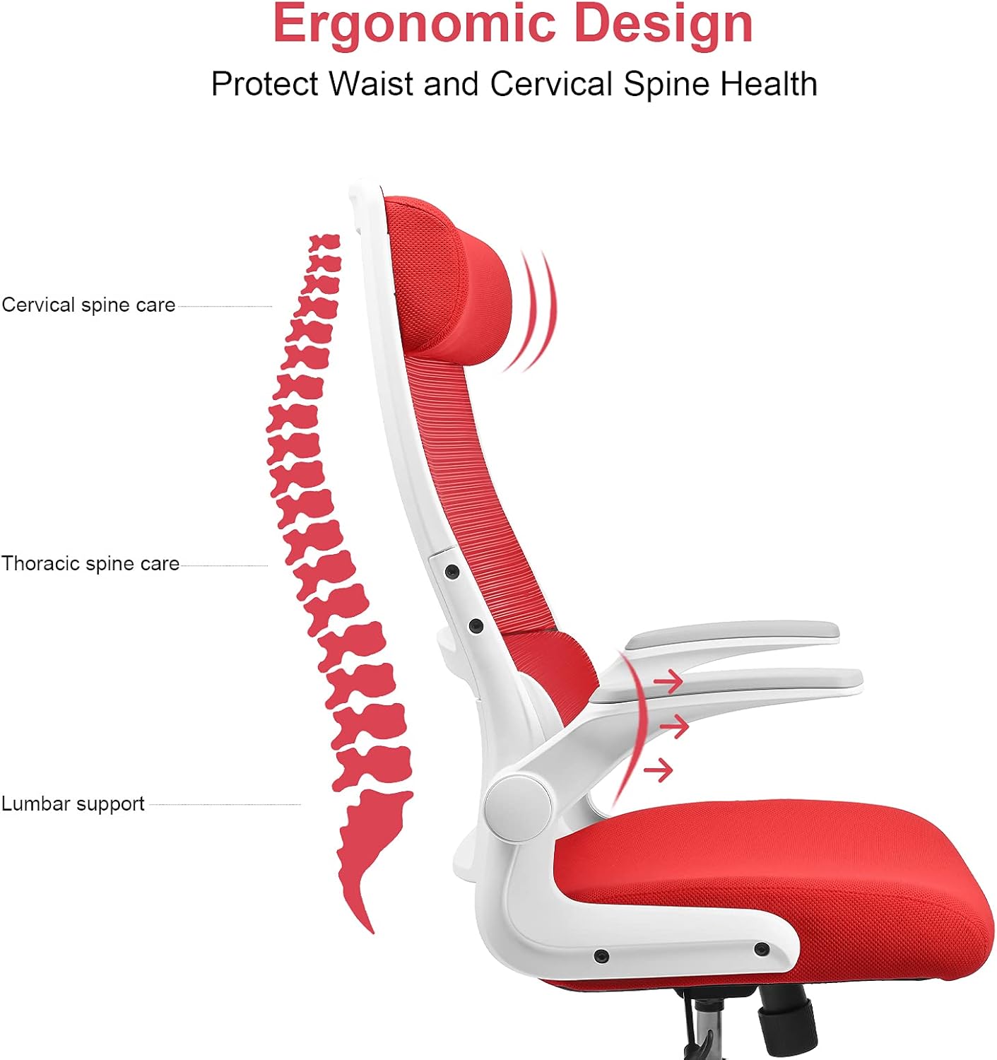 Ergonomic Office Chair