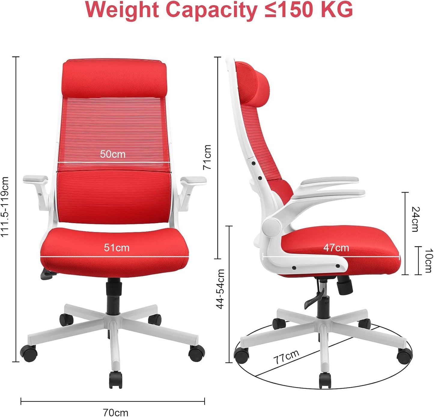 Ergonomic Office Chair