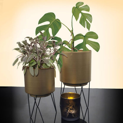 Set of 2 Flower Pots