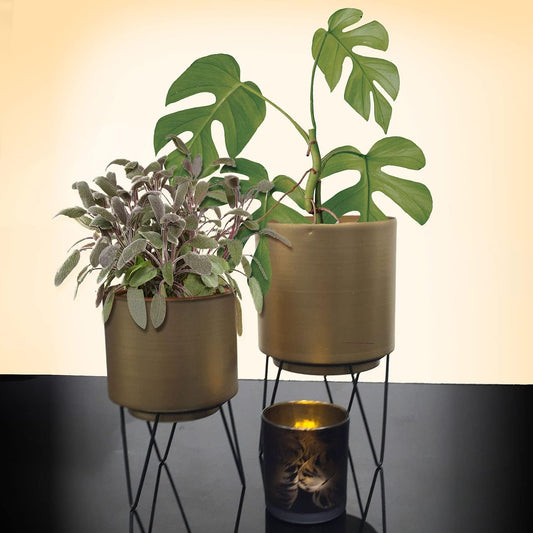 Set of 2 Flower Pots