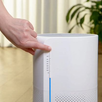Taurus Air Purifier