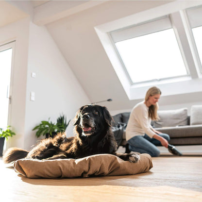 Bosch Cordless Vacuum Cleaner