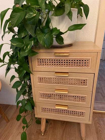 Accent Wood Chest with 4 Rattan Drawer