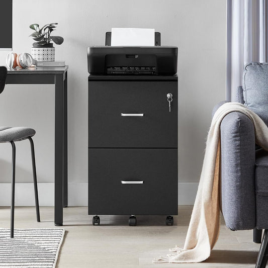VASAGLE 2-Drawer File Cabinet