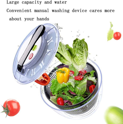 Salad Fruit Washing Machine