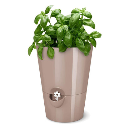 Self-watering pot