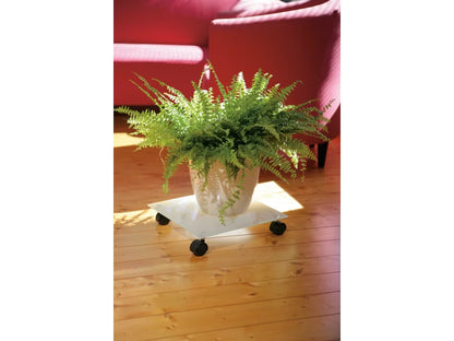 plant mover