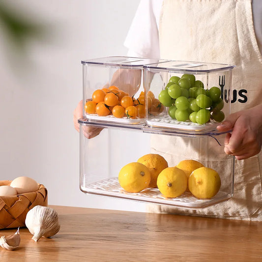 Refrigerator Kitchen Organizer